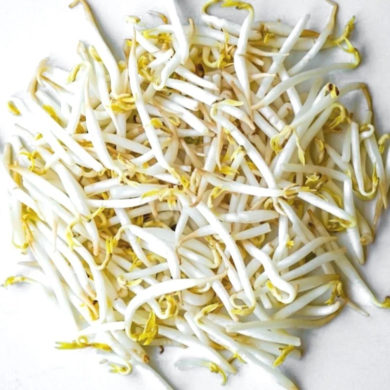 Bean sprouts, from above in a white dish